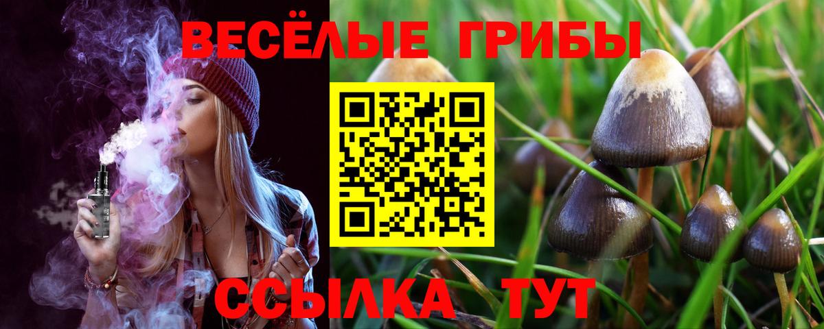 Галлюциногенные грибы Psilocybe Челябинск
