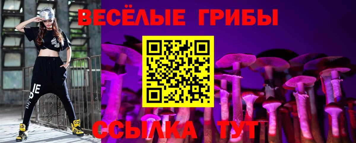 наркотики  Челябинск  Галлюциногенные грибы мицелий 