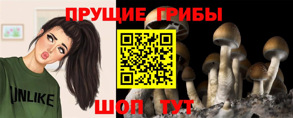 Челябинск  Галлюциногенные грибы Magic Shrooms  даркнет сайт  Вход с VPN 